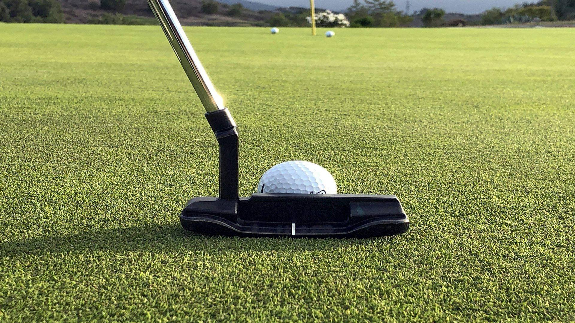 Putter and golf ball on a putting green