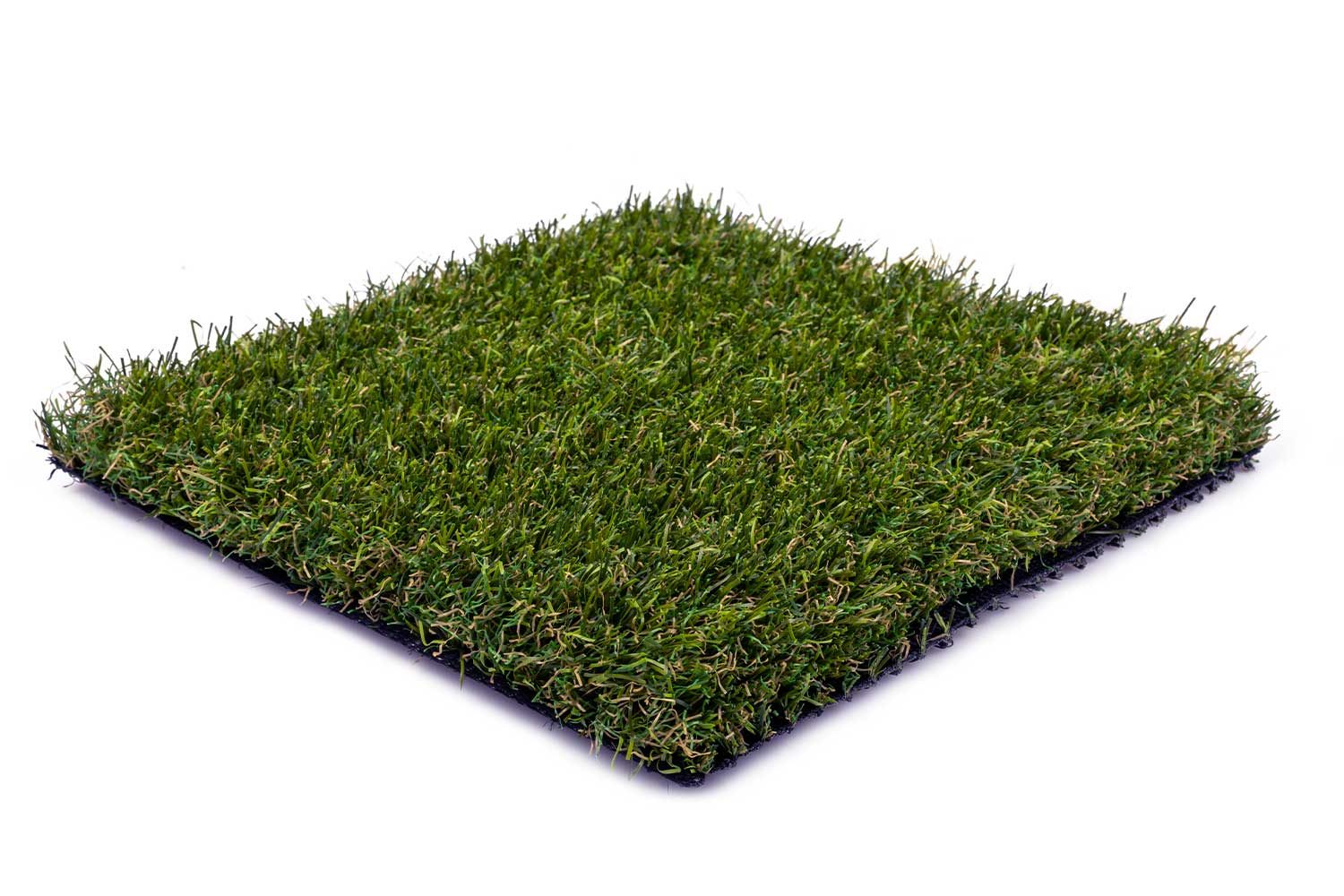 Eg40 — top view