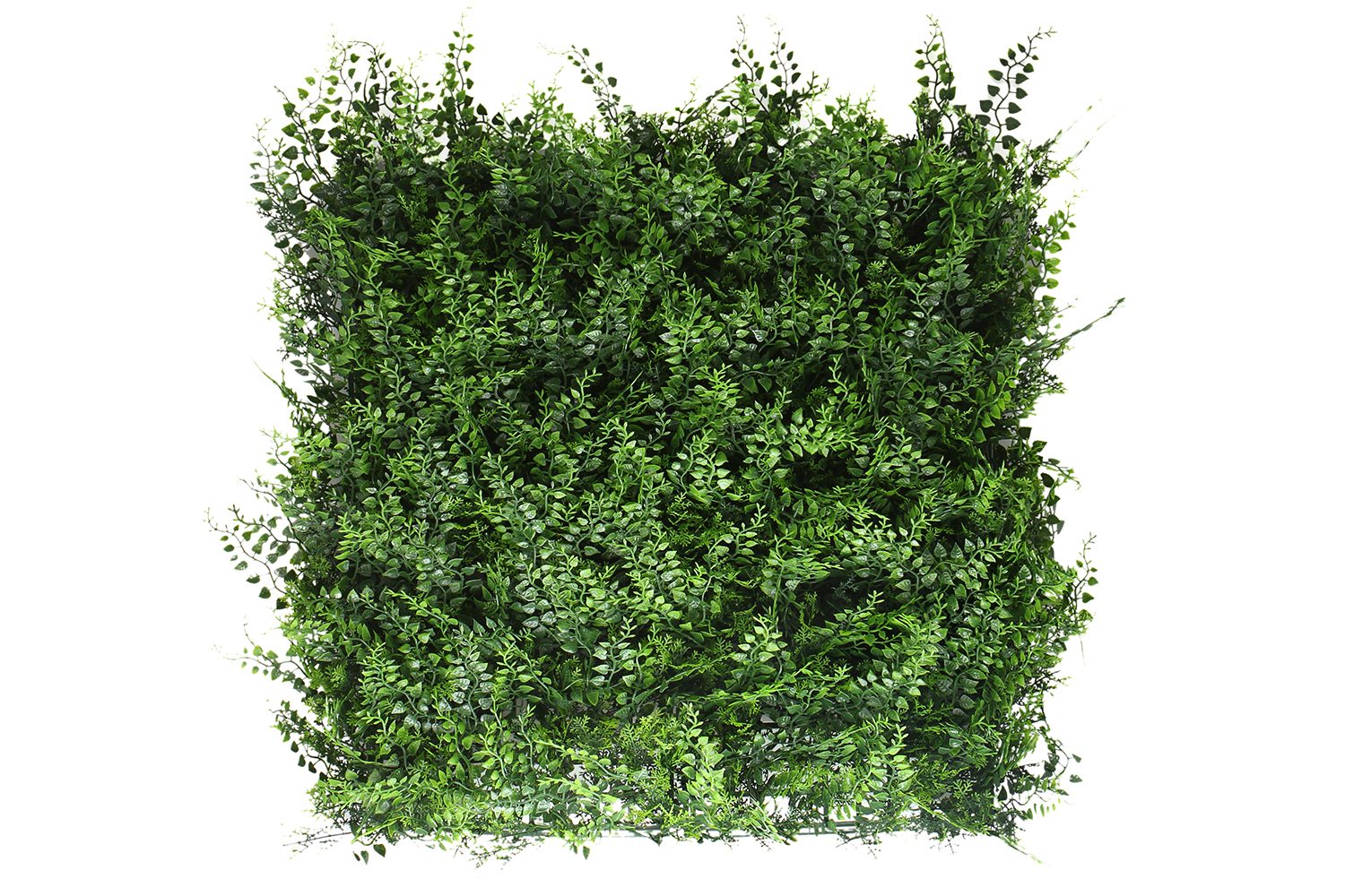 Bregne — product photo 1