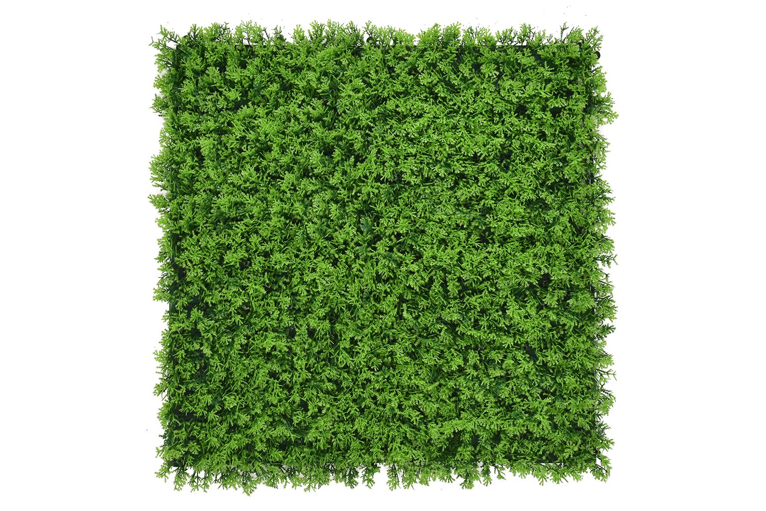 Cypres — product photo 1