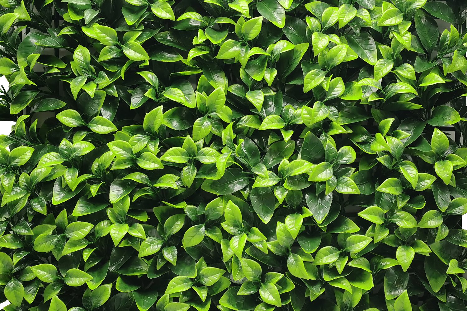 Frisk — product photo 2