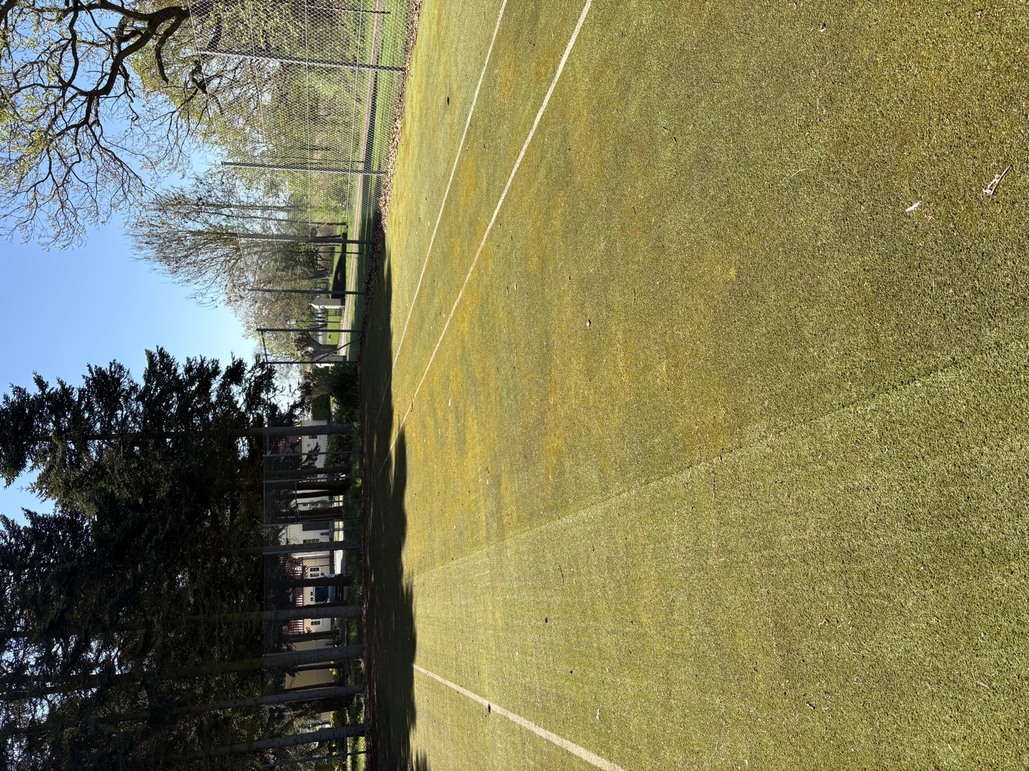 Artificial grass cleaning — before/after